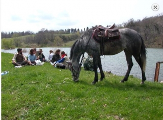  Excursiones a caballo 